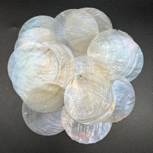 Vista 9 de PEPPERLONELY 8 oz (aproximadamente 10 piezas) conchas marinas de ostra Placuna, 3~4 pulgadas #16A. Placuna Oyster Sea Shells 3 ~ 4 Pulgadas