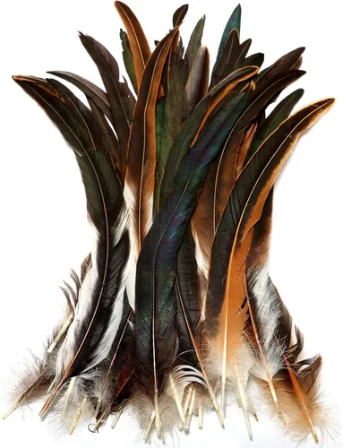 Vista 13 de THARAHT 50 Plumas de Cola de Gallo Naturales de 12-14 Pulgadas (30-35 cm) a Granel para Manualidades, Atadura de Moscas, Boda, Plumas para Fiestas