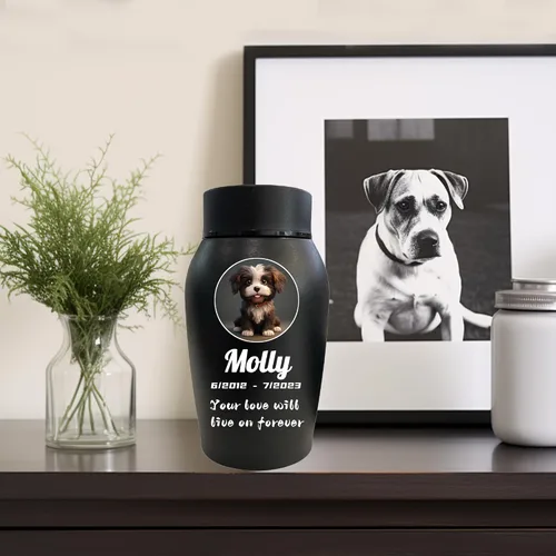 Vista 5 de Urnas personalizadas para cenizas de perros y gatos, nombre de mascota personalizado para urnas de cremación, urnas de recuerdo conmemorativas