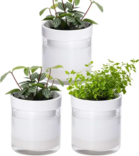 Vista 8 de Phoenix Vine Maceta de riego automático de 4 pulgadas, maceta de arcilla de terracota con depósito de vidrio para plantas de interior, hierbas