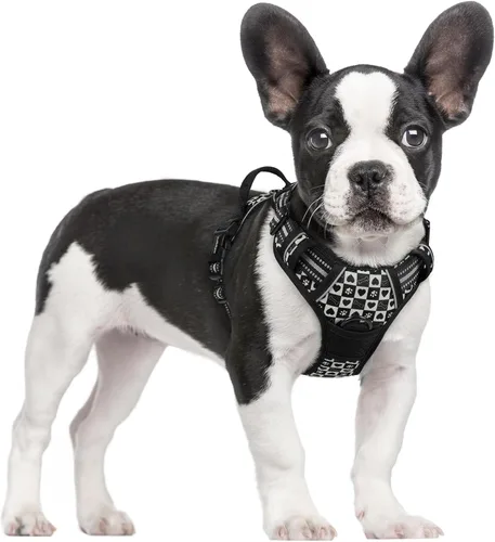 Vista 106 de Rabbitgoo - Arnés para perros sin tirón con 2 clips de correa, chaleco Oxford reflectante acolchado suave ajustable sin estrangulamiento para Beige