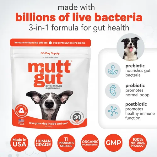 Vista 4 de Suplemento en polvo 3 en 1 totalmente natural para perros, prebióticos y posbióticos, probióticos para perros con 135 mil millones de UFC