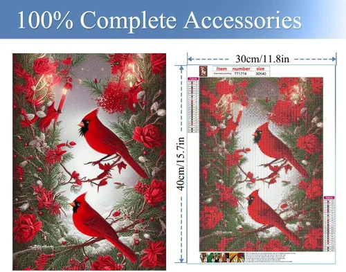 Vista 2 de JFYHAB Kits de pintura de diamantes 5D para adultos, kit cardenal norteamericano de perforación completa, pintura de diamantes de imitación, taladro