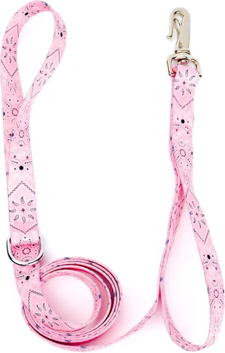 Vista 27 de Country Brook Design® Correa para perro Native Arizona de 1 pulgada - 6 pies Arizona nativa
