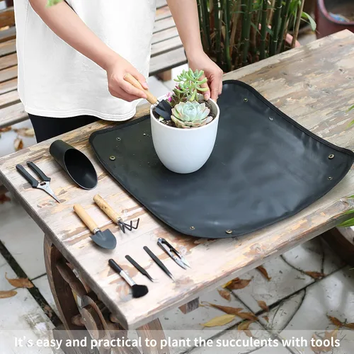 Vista 5 de 11 piezas de herramientas para suculentas, mini herramientas de jardín, herramienta de riego de suculentas como accesorios para plantas, kit