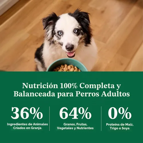 Vista 8 de Nutro Natural Choice - Alimento seco para perros de peso saludable, pollo y arroz, 30 libras