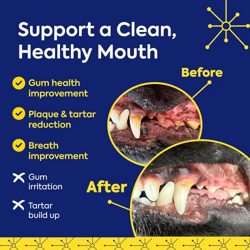 Vista 4 de TEEF for Life Protektin42 - Recambio de polvo dental prebiótico para perros, 30 porciones