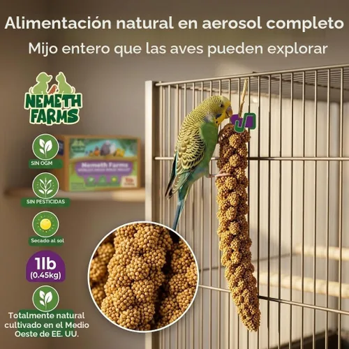 Vista 9 de Nemeth Farms Spray Millet - Tapas comestibles solamente, sin OMG y secado al sol, 1 libra para periquitos, canarios y pinzones