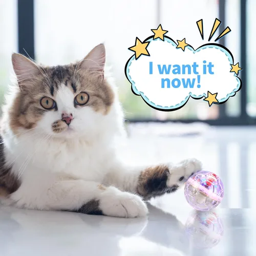 Vista 7 de Pelotas de gato iluminadas de 24 piezas, equipo de caza de fantasmas, bola mágica para gatos activada por movimiento interior, juguetes de plástico
