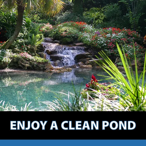 Vista 7 de CrystalClear MuckOff, Tratamiento Natural de Lodo para Estanques, Limpiador de Lodo para Jardines Acuáticos, Fuentes y Baños para Aves, Clarificante