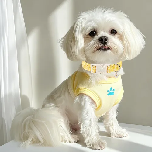 Vista 148 de Collar para perros del 4 de julio, collares patrióticos azules para cachorros y perros pequeños, ligero y ajustable 1776 collares para cachorros