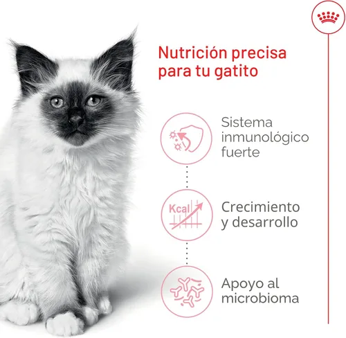 Vista 4 de Comida seca para gatitos de Royal Canin, Nutrición para la salud felina, Bolsa de 3.2 kg Formulado para gatitos de hasta 12 meses, apoya