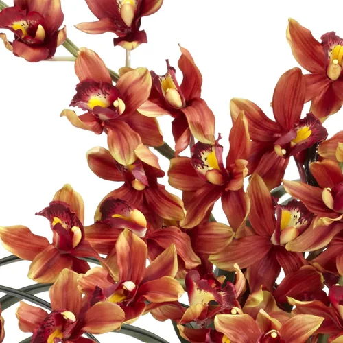 Vista 2 de Cymbidium con jarrón decorativo, arreglo de seda