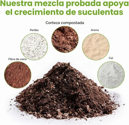Vista 2 de Mezcla de tierra para suculentas y cactus de Perfect Plants (1QT)