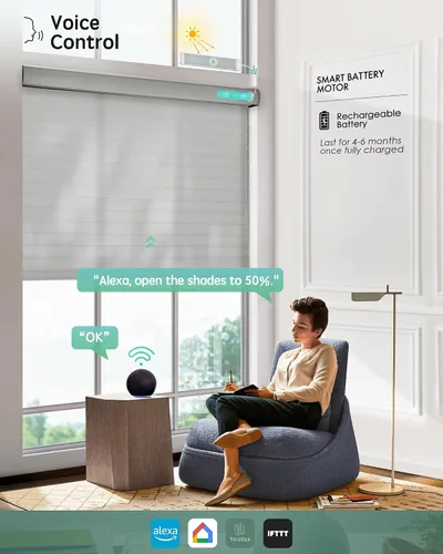 Vista 2 de Yoolax Shangri-la - Persiana motorizada transparente que funciona con Alexa, persianas eléctricas transparentes de doble capa de filtrado de luz