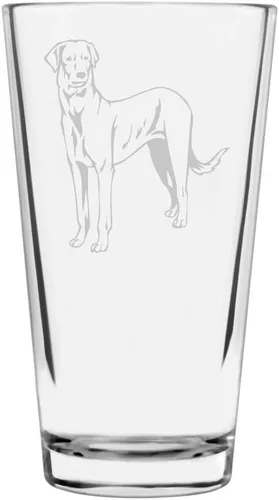 Vista 96 de Podenco Canario - Vaso de pinta de 16 onzas con temática de perro personalizado