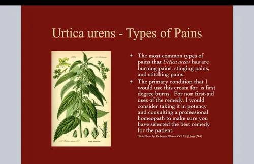 Vista 8 de Urtica Urens Crema 1 Pack