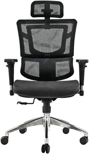 Vista 5 de Commercial Ergonomic High Back Executive Mesh Chair, with Adjustable Lumbar Support, Headrest and 3D Armrests(A)