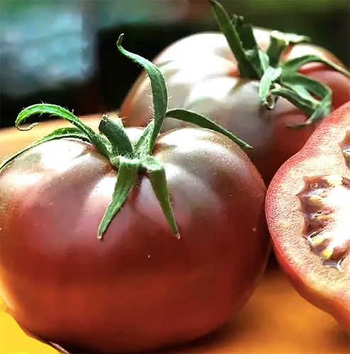 Vista 3 de Semillas de tomate negro Brandywine Heirloom Tomate grande, uno de los tomates más deliciosos para el cultivo casero