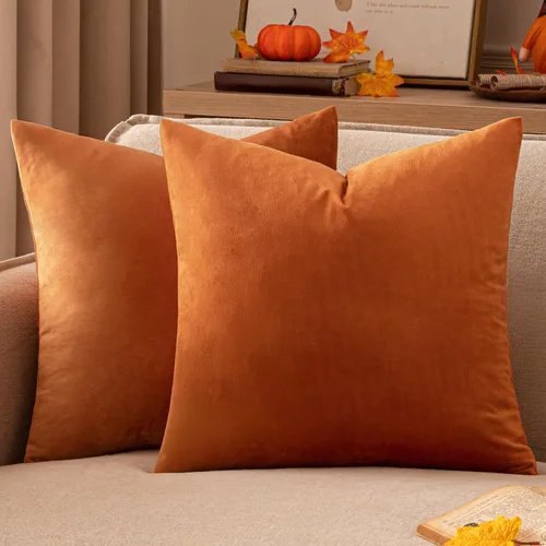 Vista 16 de EMEMA - Paquete de 2 fundas de almohada de terciopelo decorativas, fundas de cojín cuadradas suaves y sólidas para sofá, dormitorio, silla, Verde