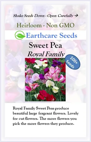 Vista 3 de Guisantes Dulces Fragantes 100 Semillas Familia Real (Lathyrus odoratus)