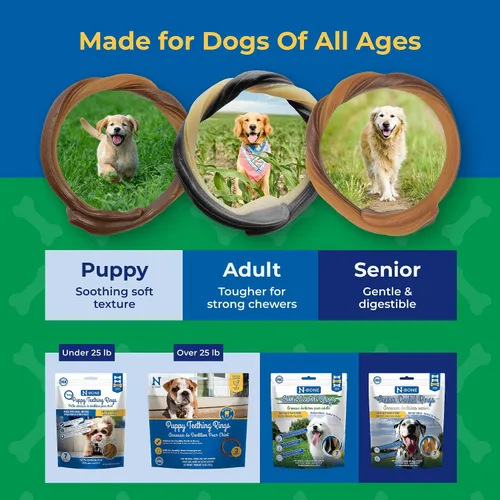 Vista 8 de N-Bone Anillos de dentición para cachorros, sabor a mantequilla de maní, masticables naturales para la dentición y golosinas para masticar, ayuda a