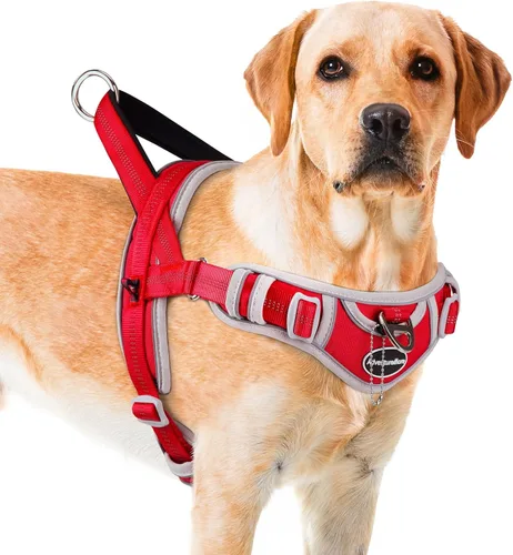 Vista 15 de ADVENTUREMORE Arnés para perro mediano - sin tirones, chaleco reflectante ajustable con asa de clip frontal para entrenamiento y caminata - Negro