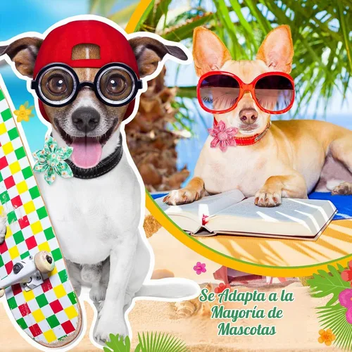 Vista 7 de Sanwuta 36 piezas de collar de perro de flores accesorios para mascotas, collar ajustable para perro, accesorio de otoño de flores para gatos