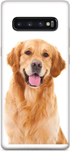 Vista 17 de Inspired Cases - Compatible con iPhone Xs Max - Funda protectora con textura 3D para Apple iPhone Xs Max - Golden Retriever
