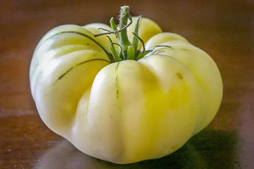 Vista 4 de Semillas Nieve Gran Bistec Blanco Tomate Heirloom Gigante Vegetal Sin OGM