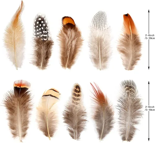 Vista 2 de SendyFeather 200 plumas naturales de 10 estilos surtidos de plumas para atrapasueños, manualidades, decoración de bricolaje