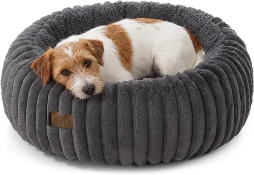 Vista 11 de COZY KISS Donut - Cama pequeña para gatos de interior, cama para gatitos Crema