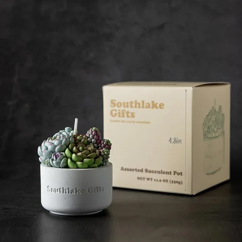 Vista 2 de Surtido suculento olla perfumada vela de cera vegetal para spa decoración del hogar regalo de boda