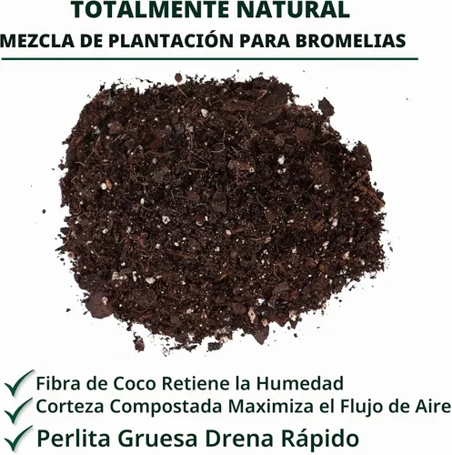 Vista 7 de Better-Gro - Mezcla de bromelia para macetas para plantas tropicales, 8 cuartos de galón