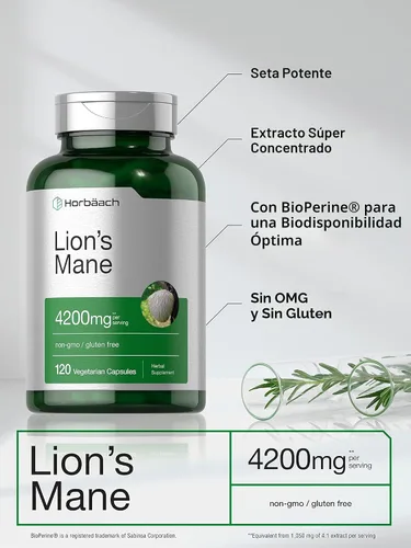 Vista 4 de Horbäach extracto de hongo melena de león 4200mg 120 cápsulas suplemento vegetariano, no transgénico, sin gluten