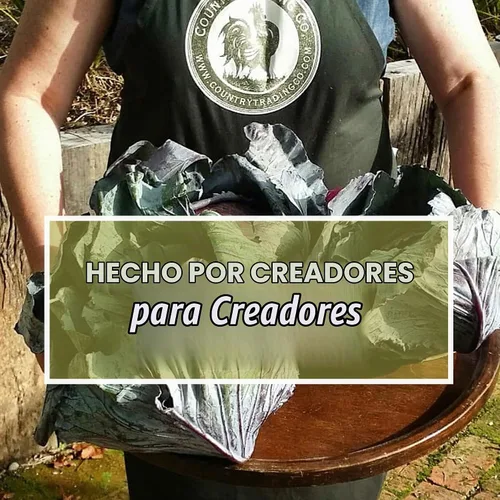 Vista 8 de Pesas de fermentación de vidrio para fermentación Asas de fácil elevación Juego de 4 pesos de pepinillo para frascos de boca ancha