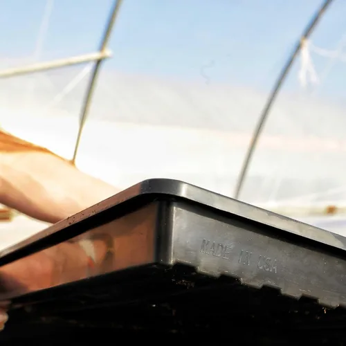 Vista 4 de Bootstrap Farmer - Bandejas Microgreen 1020, paquete de 5 bandejas de semillas extra resistentes y poco profundas con orificios - Cultivo