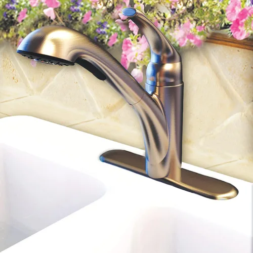 Vista 4 de Danco 10409 - Cabezal de espray extraíble para cocina, níquel cepillado