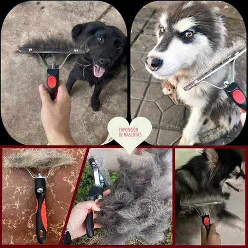 Vista 2 de Rastrillo de pelo largo para perros, rastrillo de dientes largos con mango antideslizante, cepillos de desprendimiento de perros para aseo de pelo