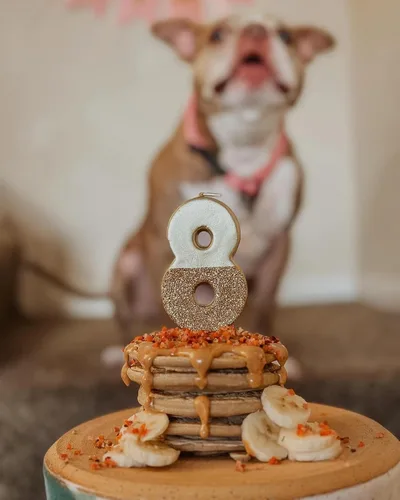 Vista 3 de BUDDY BUDDER Panqueques de cumpleaños de Bash Pooch - Regalo divertido, brunch con tu cachorro, o apilarlos para cumpleaños de perro con vela, 100%