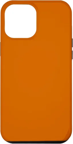 Vista 25 de Carcasa naranja quemada para iPhone 17