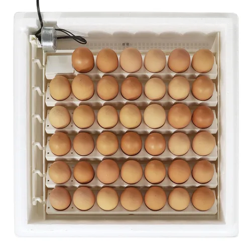 Vista 4 de Farm Innovators 4250 Incubadora digital de aire circulado con calefacción (encubadora para huevos) con girador automático de huevos para mejorar