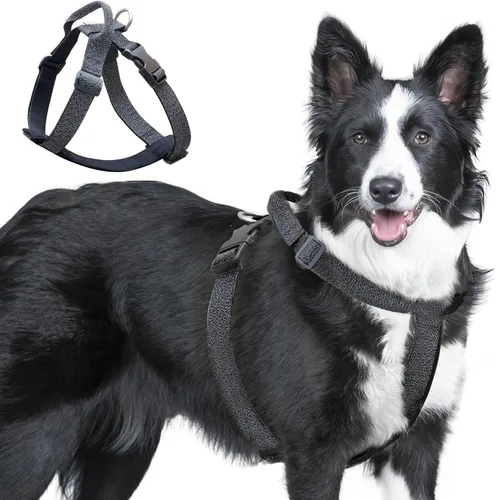 Vista 13 de Galaxy - Arnés reflectante para perro, ajuste ajustable de 4 puntos, hebillas antipellizcos, control de clip trasero y asa de emergencia, forro