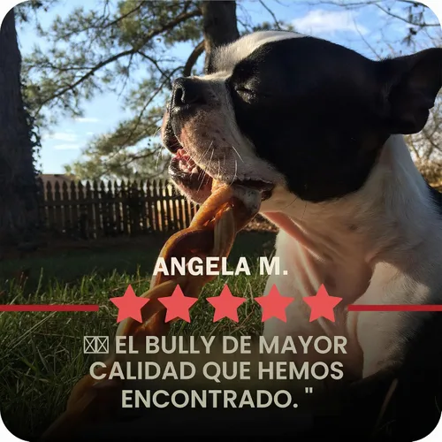 Vista 13 de Redbarn Pet Products All Natural Bully Sticks de 5 a 8 pulgadas para perros pequeños y grandes – Paquete variado de masticables saludables de larga