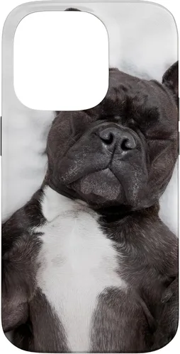 Vista 17 de Carcasa gráfica de Bulldog Francés para iPhone 17