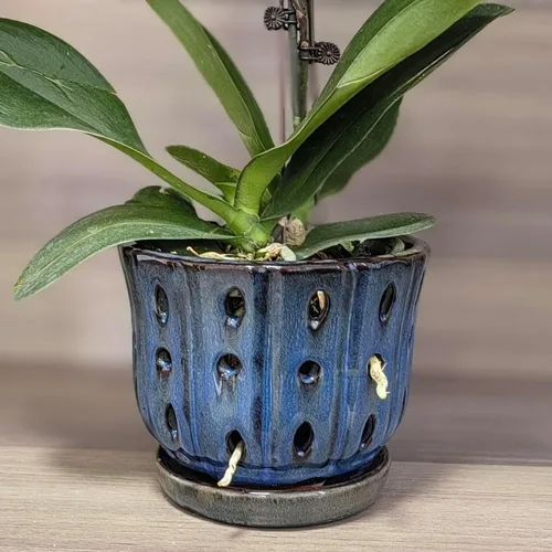 Vista 2 de Macetas de orquídeas azules de 6 pulgadas + macetas de orquídeas de 4.9 pulgadas con agujeros, color blanco y verde, juego de 3