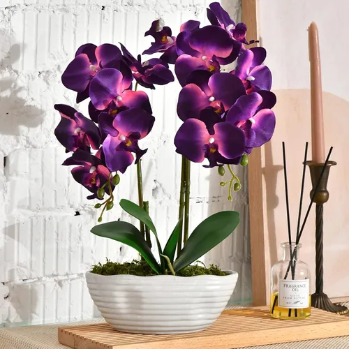 Vista 12 de Planta de orquídea artificial grande en maceta, arreglo floral de seda con jarrón de cerámica, morado oscuro