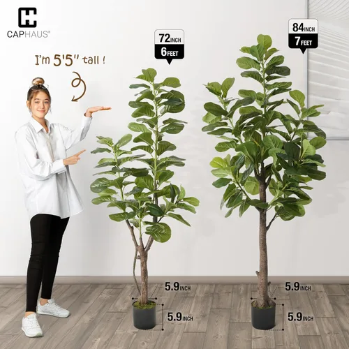 Vista 3 de CAPHAUS Árbol de higuera artificial de hoja de violín, 6/7 pies en maceta con musgo seco, para casa, oficina, tienda, árbol sintético de ficus