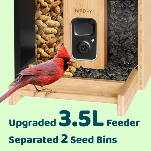 Vista 5 de NETVUE by Birdfy - Comedero inteligente para pájaros con cámara, alimentado por energía solar, vapor vivo de 2K y IA Identificación de especies