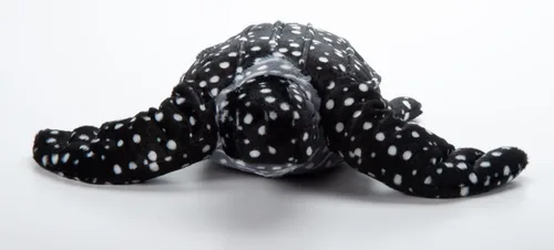 Vista 8 de The Petting Zoo Leatherback - Peluche de tortuga marina, regalos para niños, animales salvajes del océano Onez, juguete de peluche de tortuga marina